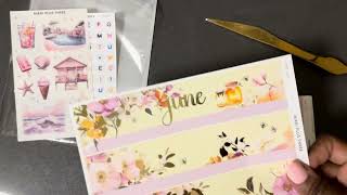 Planner Haul Nikki Plus ThreeNotebook TherapyPaper Minty Studio [upl. by Ehcar181]