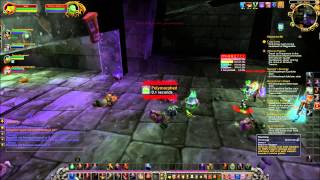 Killing Shadow hunter Voshgajin  Lower Blackrock Spire  World of Warcraft [upl. by Krystin]