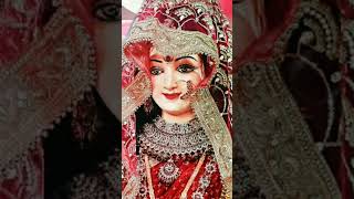 Dhul Tere Charanon Ki Lekar Mathe Tilak lagao man song music  Jay Mata Rani [upl. by Einalam]