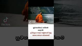 දහම් සිතුවිල්ල  pannipitiye suseel Thero  kavi Bana kavibanasinhala ruwanweliseya motivation [upl. by Sarena302]