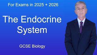 GCSE Biology Revision quotThe Endocrine Systemquot [upl. by Aliac]