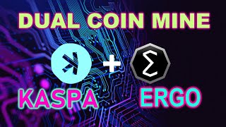 KASPA and ERGO Dual Coin Mining on HiveOS [upl. by Sairtemed]