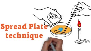 How to use Spread Plate technique [upl. by Siravaj]