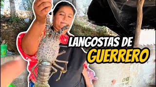 LANGOSTAS Y OSTIONES GIGANTES‼️😱 [upl. by Kellia]