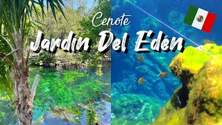 A Day At Playa Del Carmens Most Beautiful Cenote  Jardin Del Eden [upl. by Glenna]