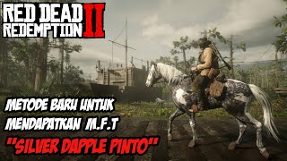 RDR2  TIPS RDR2  METODE BARU MENDAPATKAN MISSOURI FOX TROTTER [upl. by Nylarak]