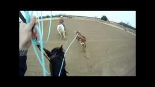 Team Roping at the Rockin M Ranch  December 2012 [upl. by Adnirolc]