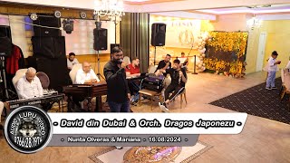 Nunta Olveras amp Mariana  10  David din Dubai amp Orch Dragos Japonezu [upl. by Bathesda]