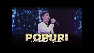 Shoxrux Ergashev  Popuri 2024xit terma newmusic music remix shoxruxergashev top trend [upl. by Dich]