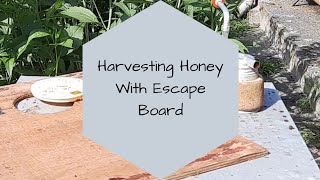 How to use a bee escape board harvesting honey fast and easy [upl. by Ecinrahs26]