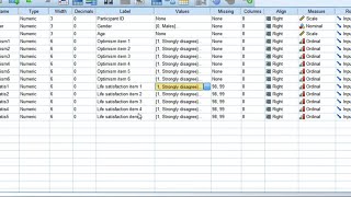 Reliability test Compute Cronbachs alpha using SPSS2023 [upl. by Akinaj]