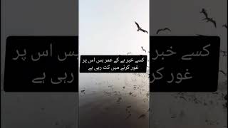 kesy khabar hai l tehzeeb hafi shayari tehzeebhafisadpoetry tehzeebhafi urdushyari urdupoetry [upl. by Beauchamp]