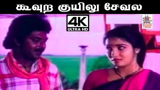 Koovura kuyilu Song 4k SPB S ஜானகி பாடிய பாடல் கூவுற குயிலு சேவல பாத்து [upl. by Yrellih870]