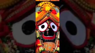 Swargadwara mora sesha thikanajai jagannath jagannath trendingshorts viralshort [upl. by Nolrev658]