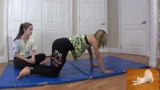 Toe Rises Raises and Roll Ups Tutorial for Dance and Gymnastics  Leg Strengthening [upl. by Chamberlain]