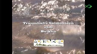 Traumhafte Salmoniden vom Balkan Blinker History [upl. by Charleen]