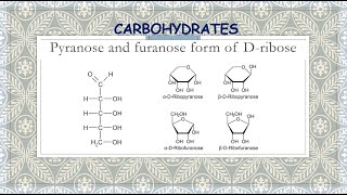 Pyranose and furanose form of Dribose [upl. by Jaynes]