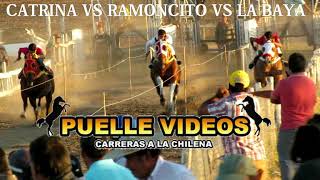 CATRINA VS RAMONCITO VS LA BAYA [upl. by Enerod]