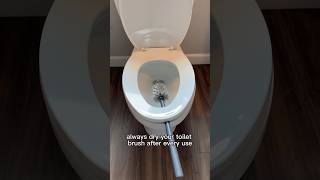 5 Tips for cleaning your toilet  Day 1130 of my Spring Cleaning Spree springcleaning diy [upl. by Akihc]