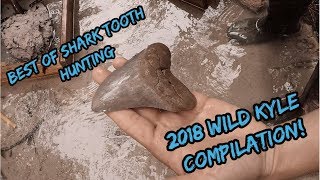 WILDKYLE 2018 Shark Tooth Compilation  Florida Fossil Hunting for Megalodon Great White amp More [upl. by Volnay]