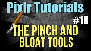 Pixlr tutorial The Pinch and Bloat tools  Lesson 18 [upl. by Hasen971]