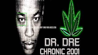 Dr Dre  Bitch Niggaz Screwed Up [upl. by Anauqal783]