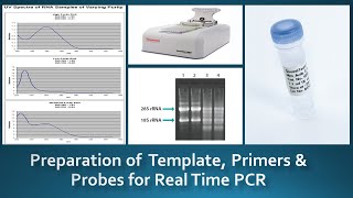 Guidelines for preparation amp Handling of Template Primers amp Probes for real time PCR [upl. by Batchelor]