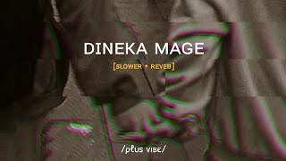 Dineka Mage  දිනෙක මගේ   Shehan Mihiranga  Sinhala slowed and reverb [upl. by Koetke]