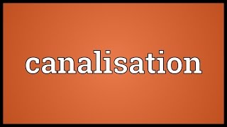 Canalisation Meaning [upl. by Larrad188]