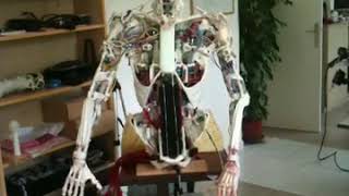 Elastic humanoid robot [upl. by Iran]