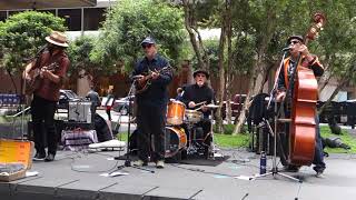 Sea Cruise  Jimbo Trout and the FishPeople  People in Plazas  SF CA  August 2 2018 [upl. by Ocram78]