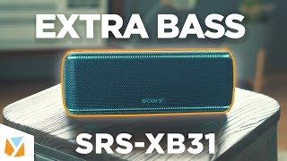 Sony EXTRA BASS SRSXB31 Bluetooth Speaker Review [upl. by Renraw]