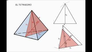 5 EL TETRAEDRO REGULAR [upl. by Ulla835]