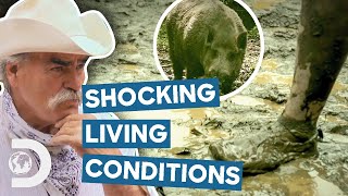 Most SHOCKING Homestead Living Conditions  Homestead Rescue [upl. by Noelani]