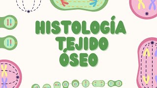 Histología del Tejido Óseo Estructura y Función PARTE 1 [upl. by Altheta]