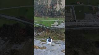 double gainer adrenaline basejump nature flying mountains mountain adventure switzerland [upl. by Hadeehuat]