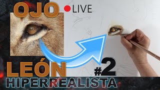 Cómo dibujar el OJO de un LEÓN HIPERREALISTA con lápices de colores❓ MASTER CLASS PROYECTO LEÓN 2 [upl. by Anael]