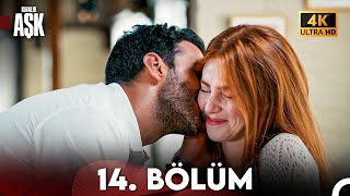 Kiralık Aşk Yeniden 14 Bölüm 4K Ultra HD [upl. by Latoya]