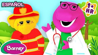 Ayudantes de la Comunidad  Bomberos y Doctores para Niños  Barney en Español [upl. by Neukam]