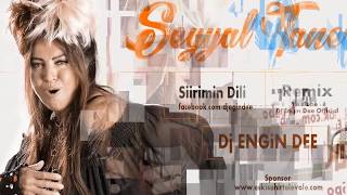 Seyyal Taner feat Dj Engin Dee  Şiirimin Dili  Remix [upl. by Nylirrej159]