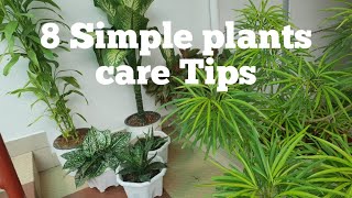 8 Simple Tips to keep your house Plants healthy amp thrivingIndoorOutdoor plants care [upl. by Rubenstein464]