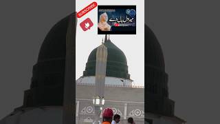 سنوں میں تیرا نام محمد ﷺ دھڑکنوں میں hearttouchingkalaam youtubeshort anfaaldreams [upl. by Annola469]