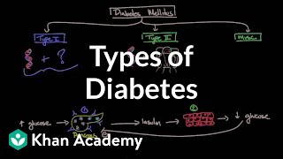 Types of diabetes  Endocrine system diseases  NCLEXRN  Khan Academy [upl. by Engamrahc744]