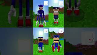 SHIN SONIC TAPES in MINECRAFT minecraft sonic [upl. by Anyl]