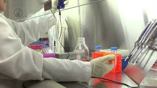 Cell Culture Basics 04 Adding and removing sterile liquid from a container [upl. by Atilol]