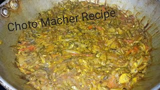 Choto Mach Ki Vabe Ranna Korte Hoi  Choto Macher Chorchori Recipe Bangali Small Fish Recipie [upl. by Karp708]