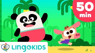 ACTION SONGS FOR KIDS 🙌🎶 Nursery Rhymes  Lingokids [upl. by Lamdin]