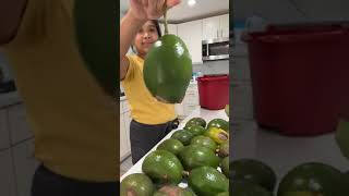 Avocado hinahayaan Nalang mabolok Hinakot ni Inday Roning [upl. by Felicio]