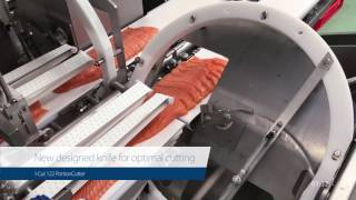 ICut 122 PortionCutter Salmon – Taking portioning to the next level [upl. by Ehudd]