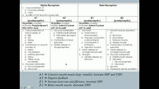 Adrenergic Agonists Part One  CRASH Medical Review Series [upl. by Cirederf627]